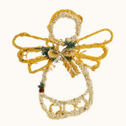 Holiday Bird Seed Angel