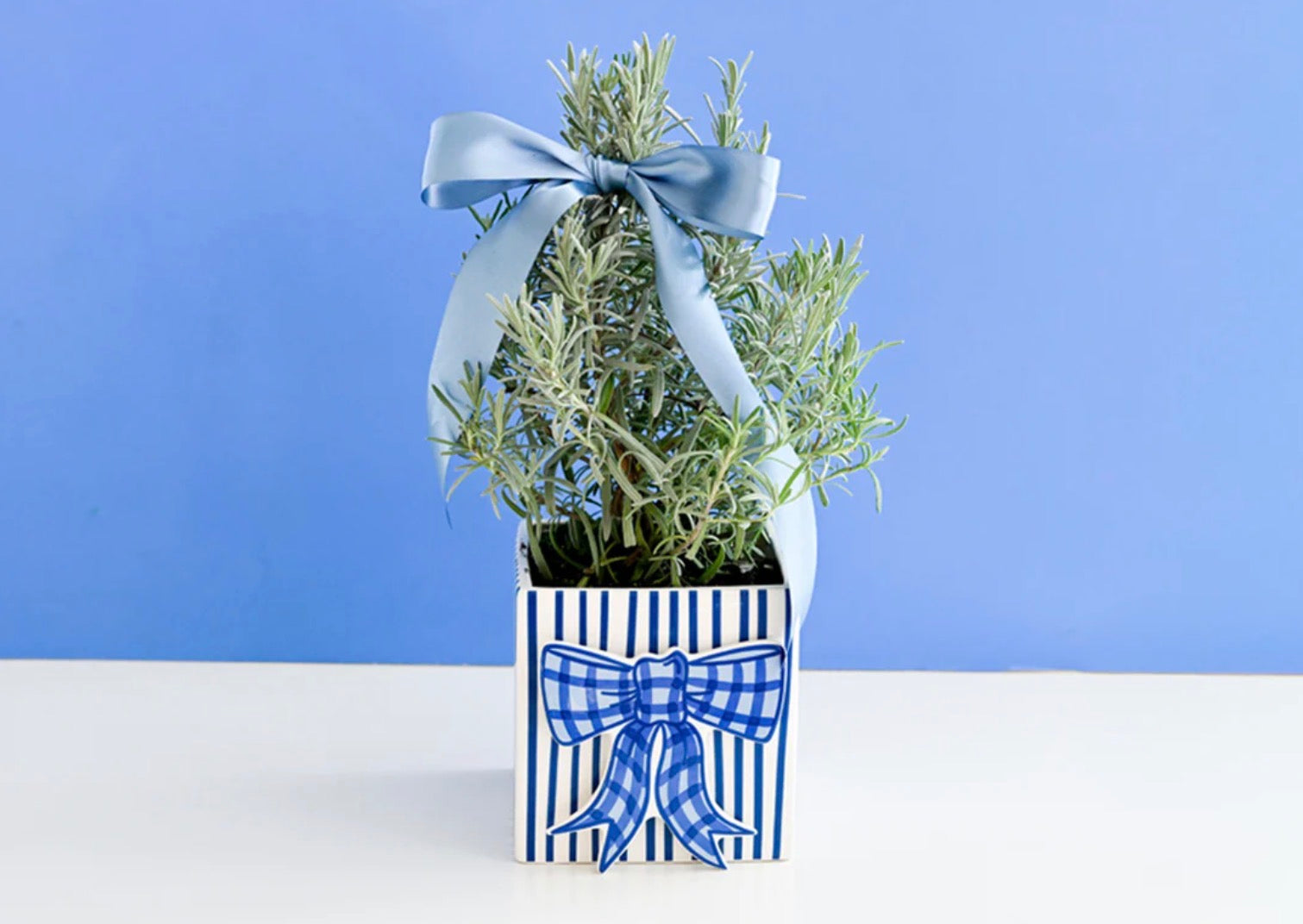 Mini Attachment- Blue Gingham Bow