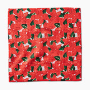 Dishcloth Set - Winter Flora
