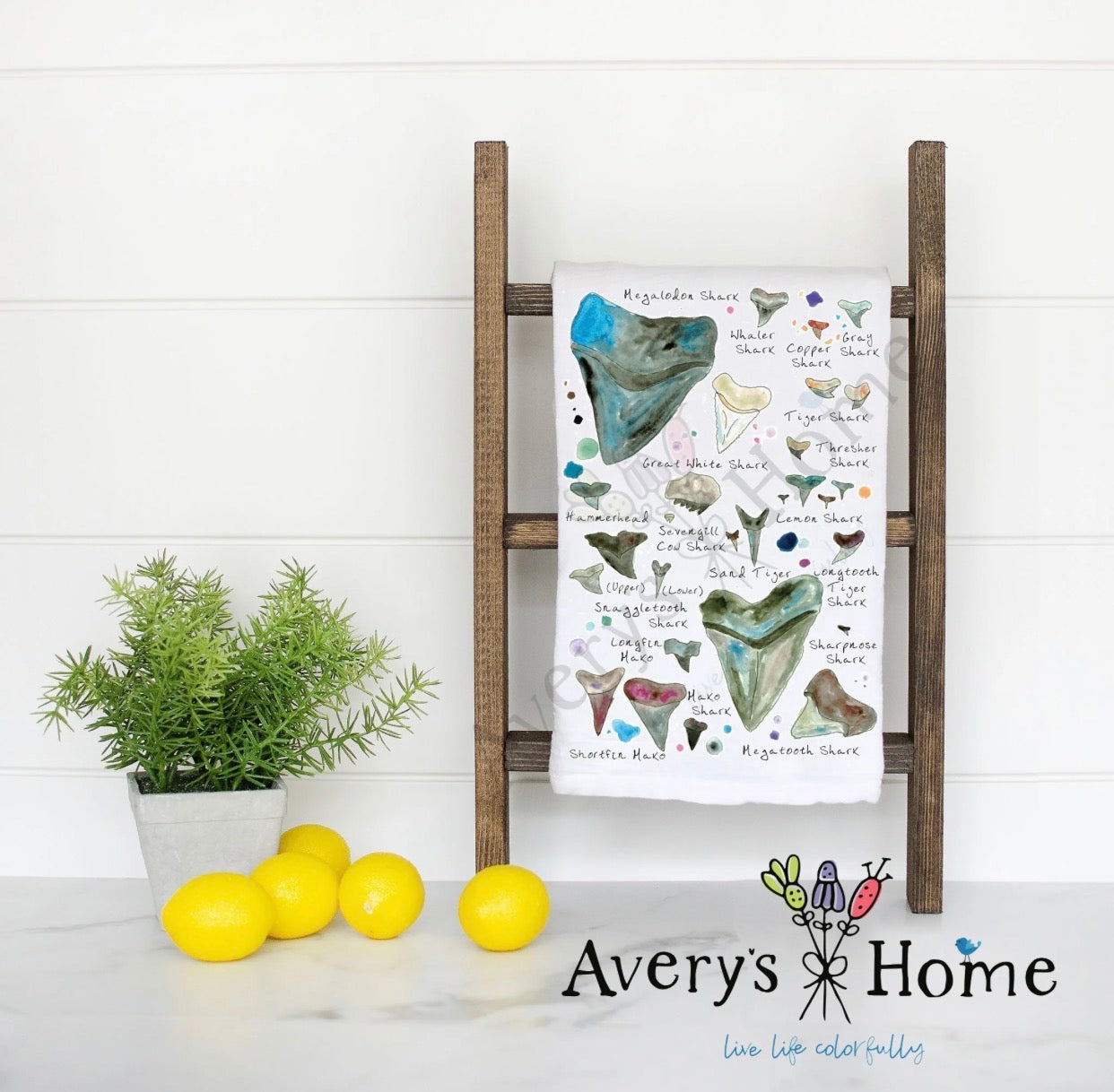 Kitchen Towel / Shark Tooth Collector
