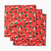 Dishcloth Set - Winter Flora