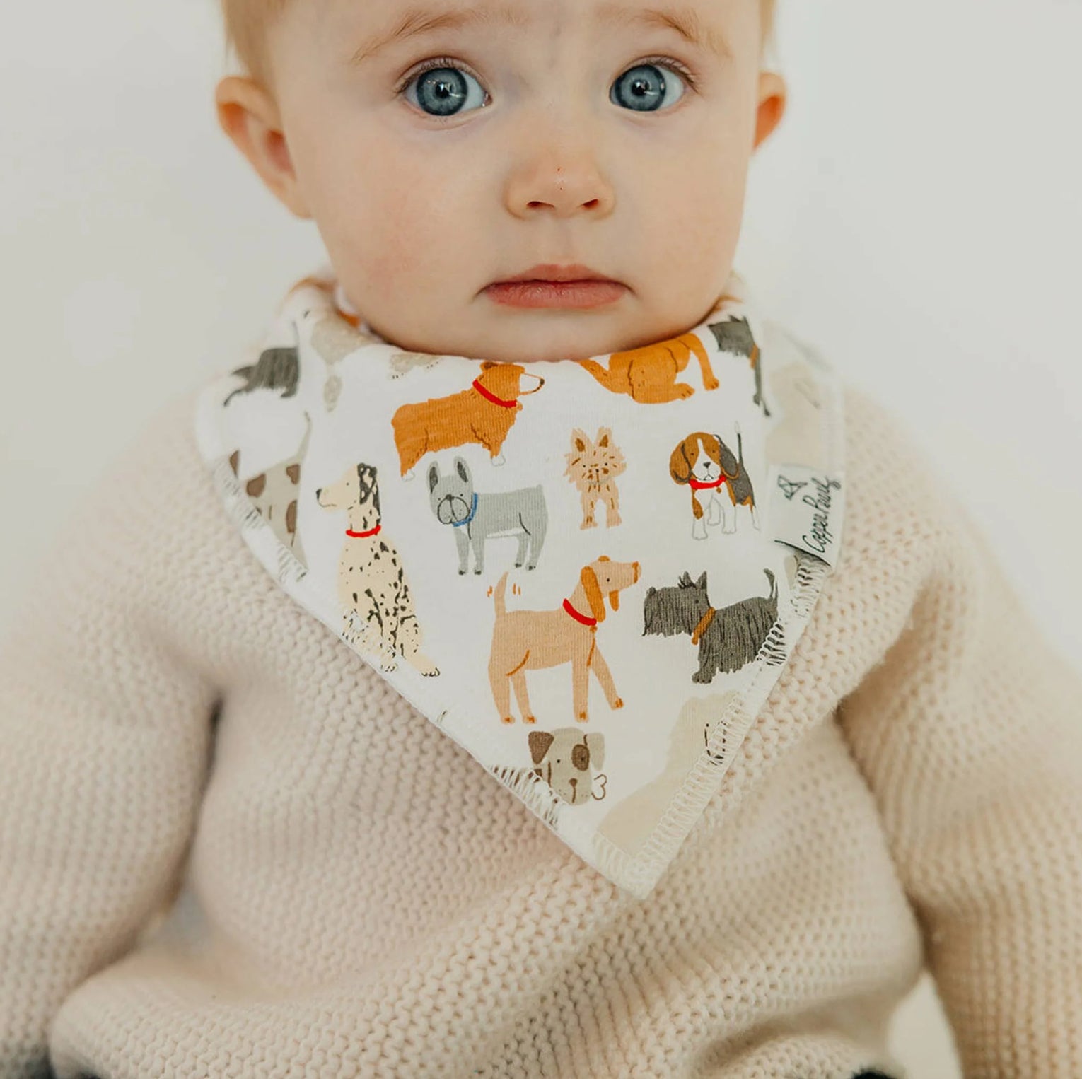 Bandana Bib Set of 2- Rufus