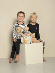 Jimmy Teddy Bear in Suitcase