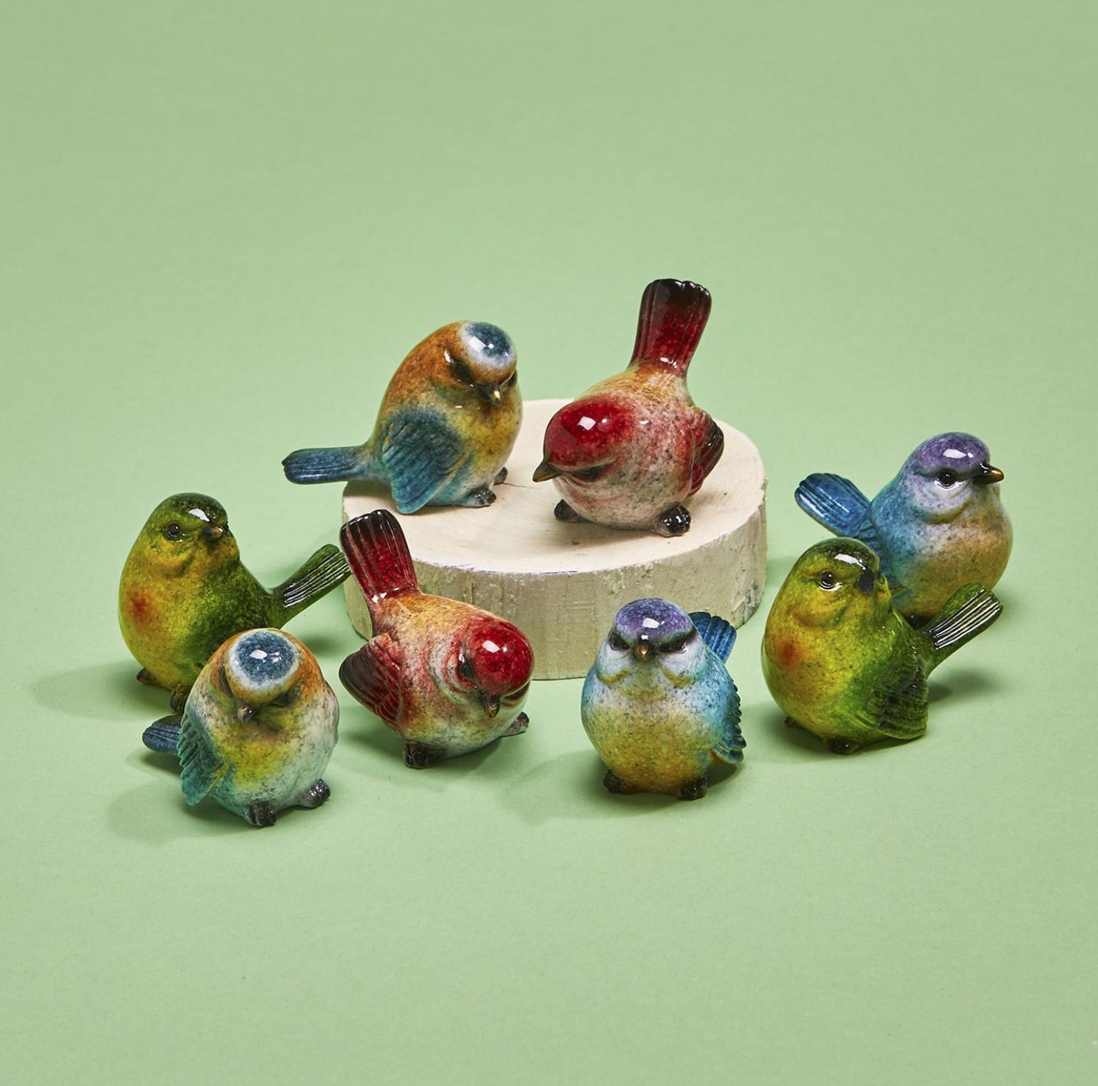 Mixed Spring Birds