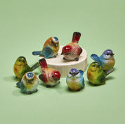Mixed Spring Birds