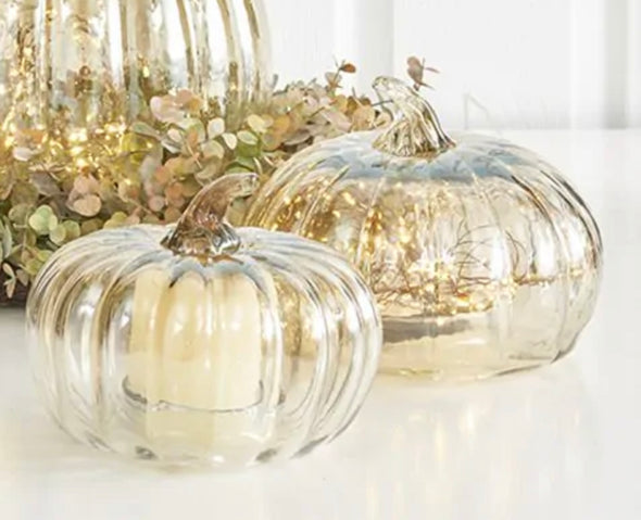 Transparent Glass Pumpkin Cloche Set Of 2