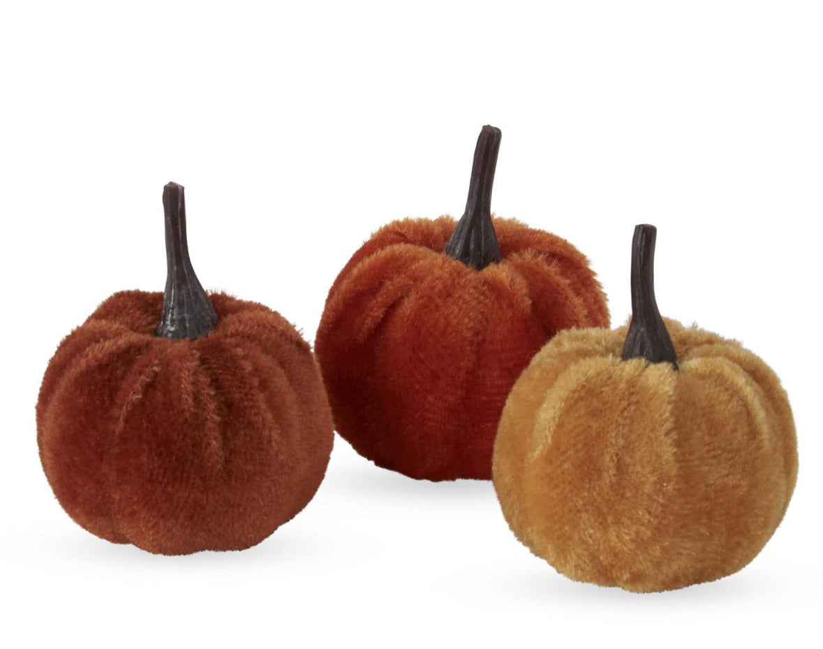 Mini Velvet Pumpkins
