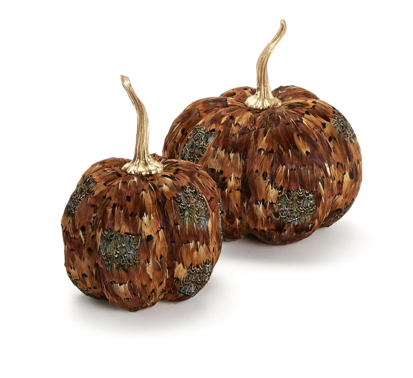 Pheasant Feather Pumpkins- Assorted Sizes