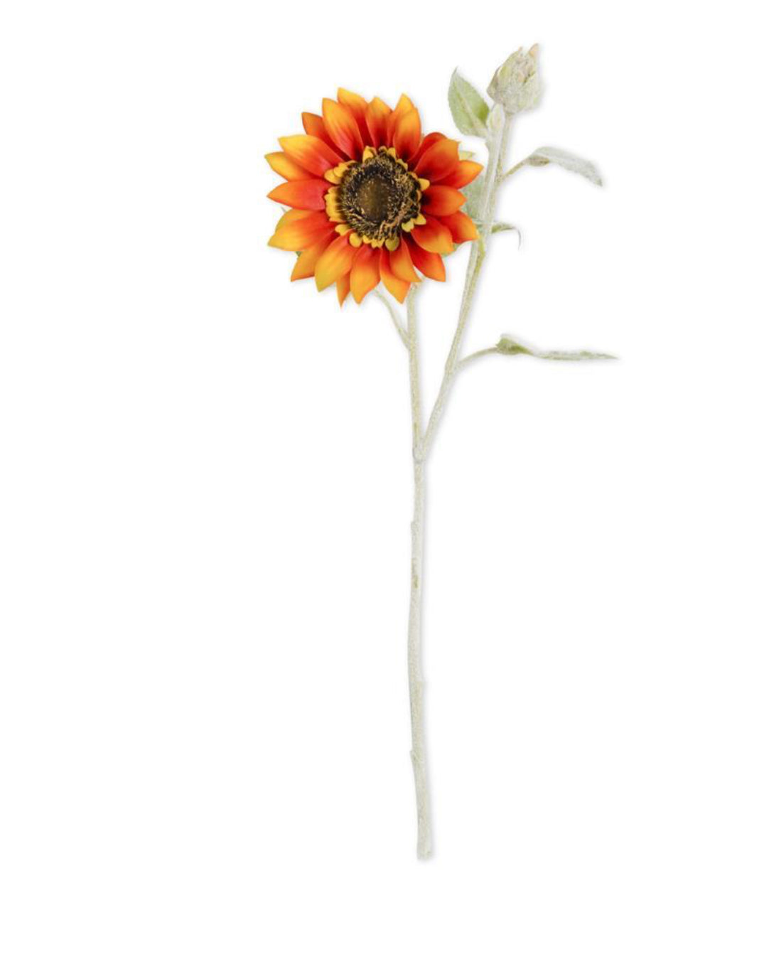 FullSizeRender_7ba9b247-03b8-4823-a8f4-032fae2192af.jpg