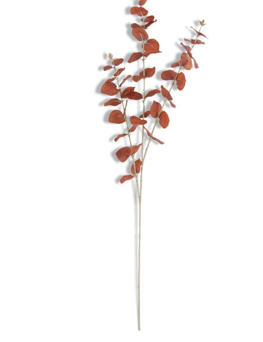FullSizeRender_bba5aba8-54f3-4173-a140-877ef06c4de7.jpg