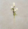 White Pompom Bundle