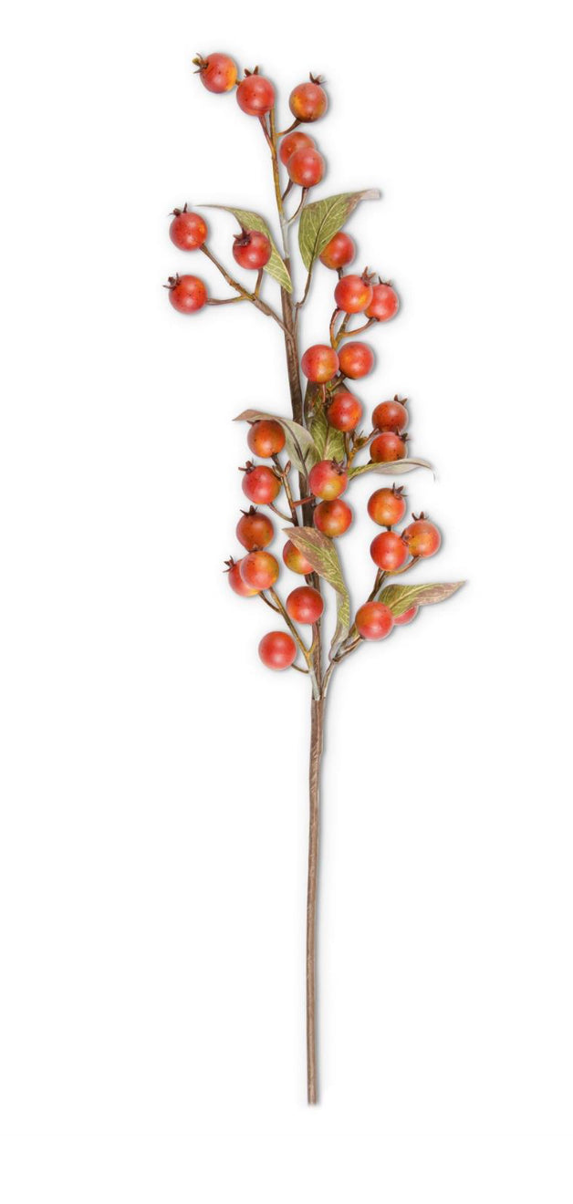 Burnt Orange Rosehip Stem