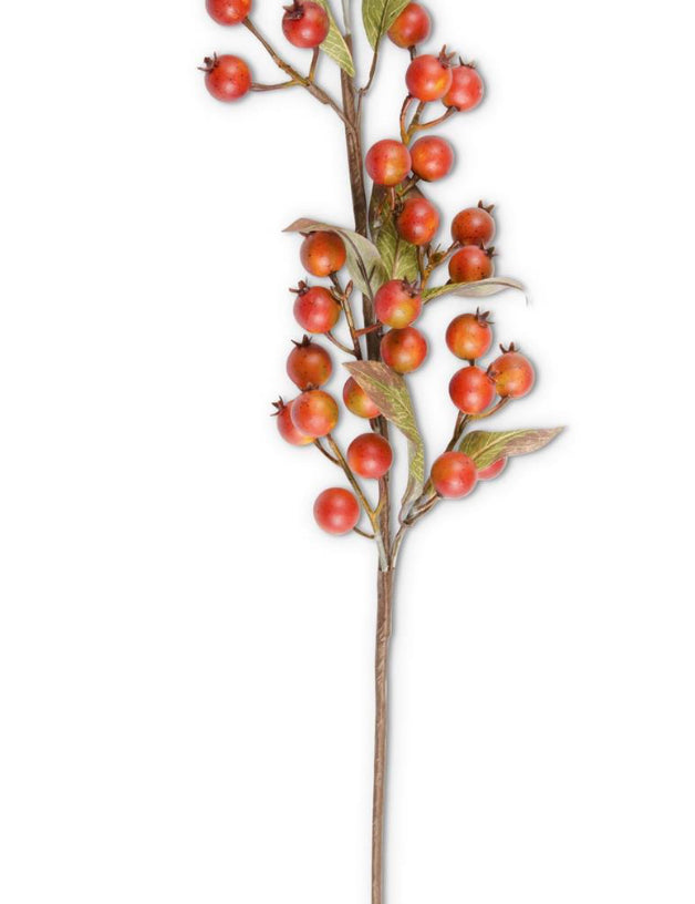 FullSizeRender_d917ca31-b2a4-466a-a504-d30c6fe7ff55.jpg
