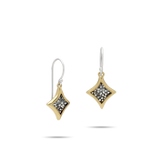 Magna Mini Drop Earrings