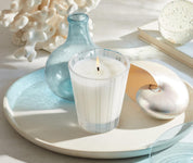 Ocean Mist & Sea Salt Classic Candle