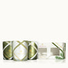 Frasier Fir- Frosted Plaid Votive Trio