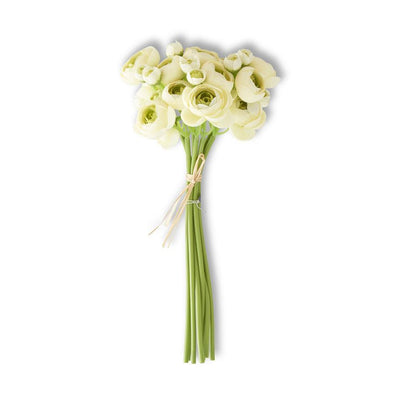 Mini Cream Ranunculus Bundle (7 Stems)- 11 inch high
