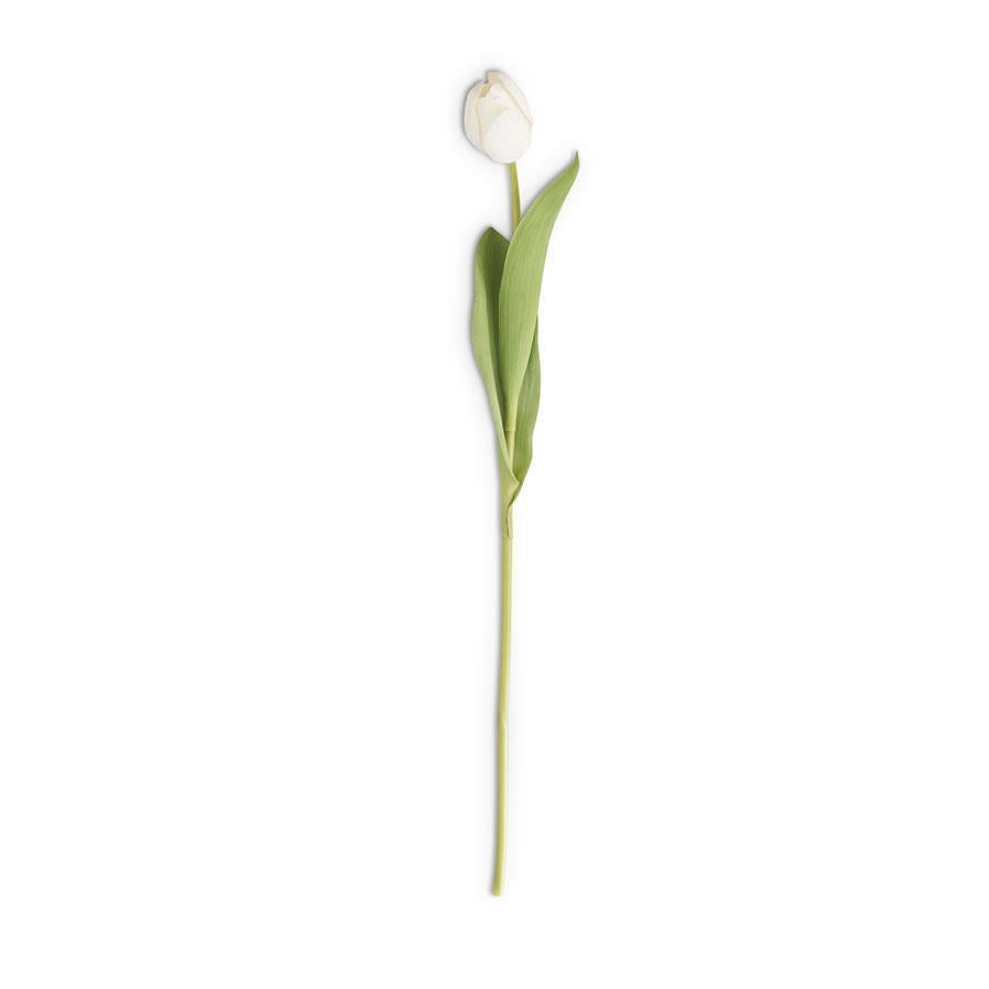 Silk Touch Single Tulip Stem- White