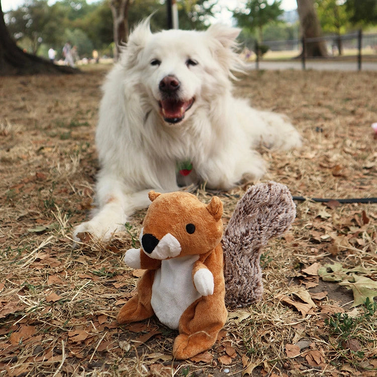 Kobe 2 In 1 Dog Toy
