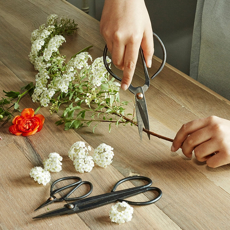 Garden Shears Set Of 3
