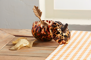 Tidbit Serving Set- Tortoise Pumpkin