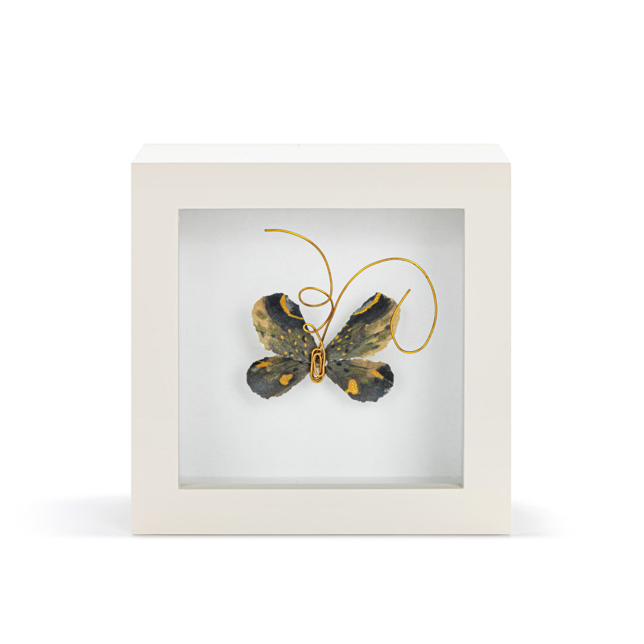 Butterfly Shadow Box 4in- Heart of Gold Black & Gold