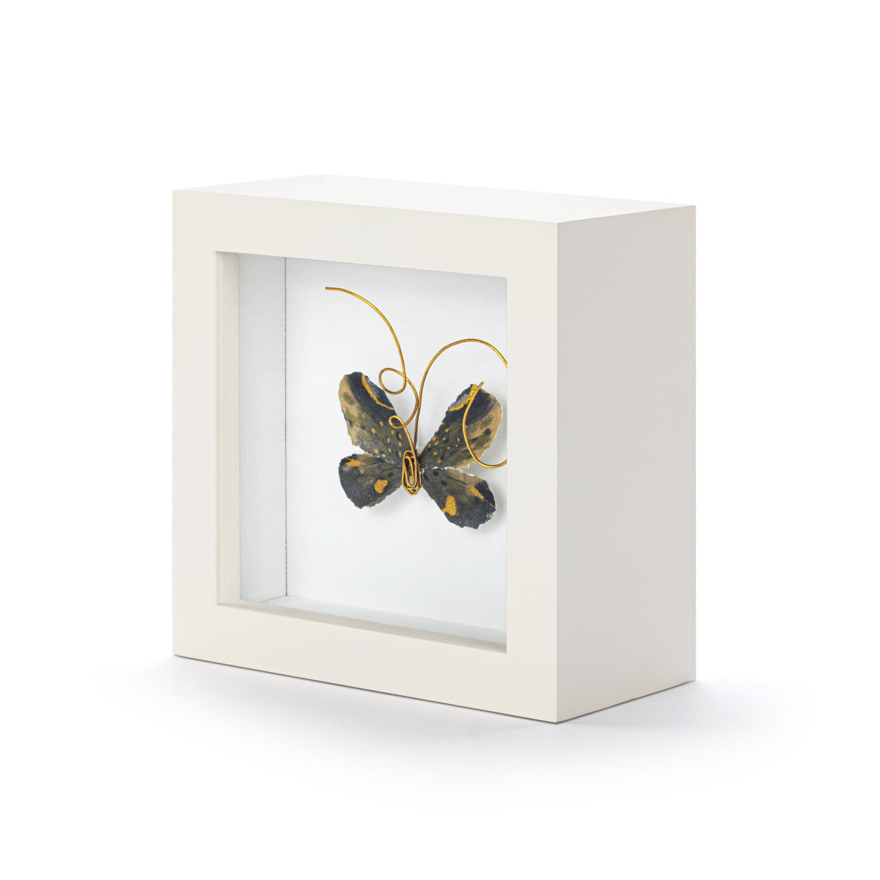 Butterfly Shadow Box 4in- Heart of Gold Black & Gold
