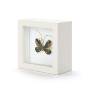 Butterfly Shadow Box 4in- Heart of Gold Black & Gold