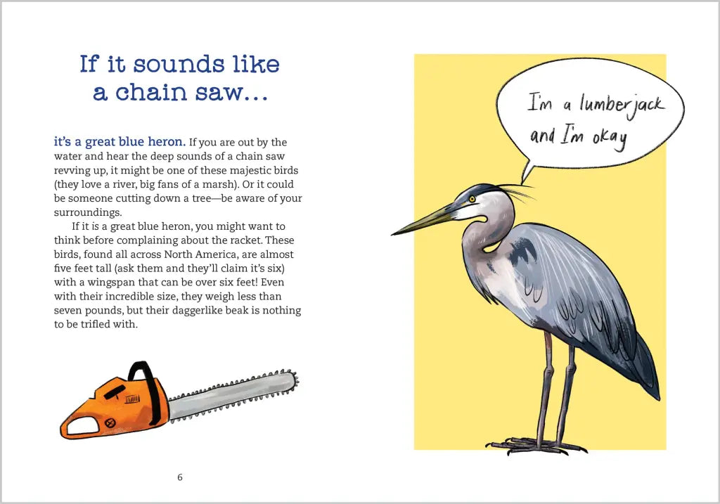 Bird Talk Book