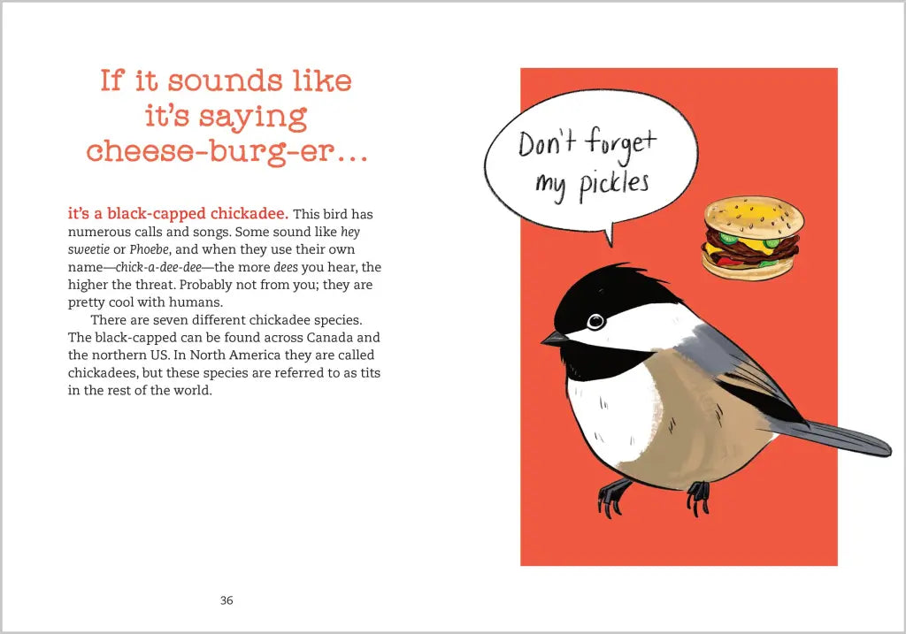 Bird Talk Book