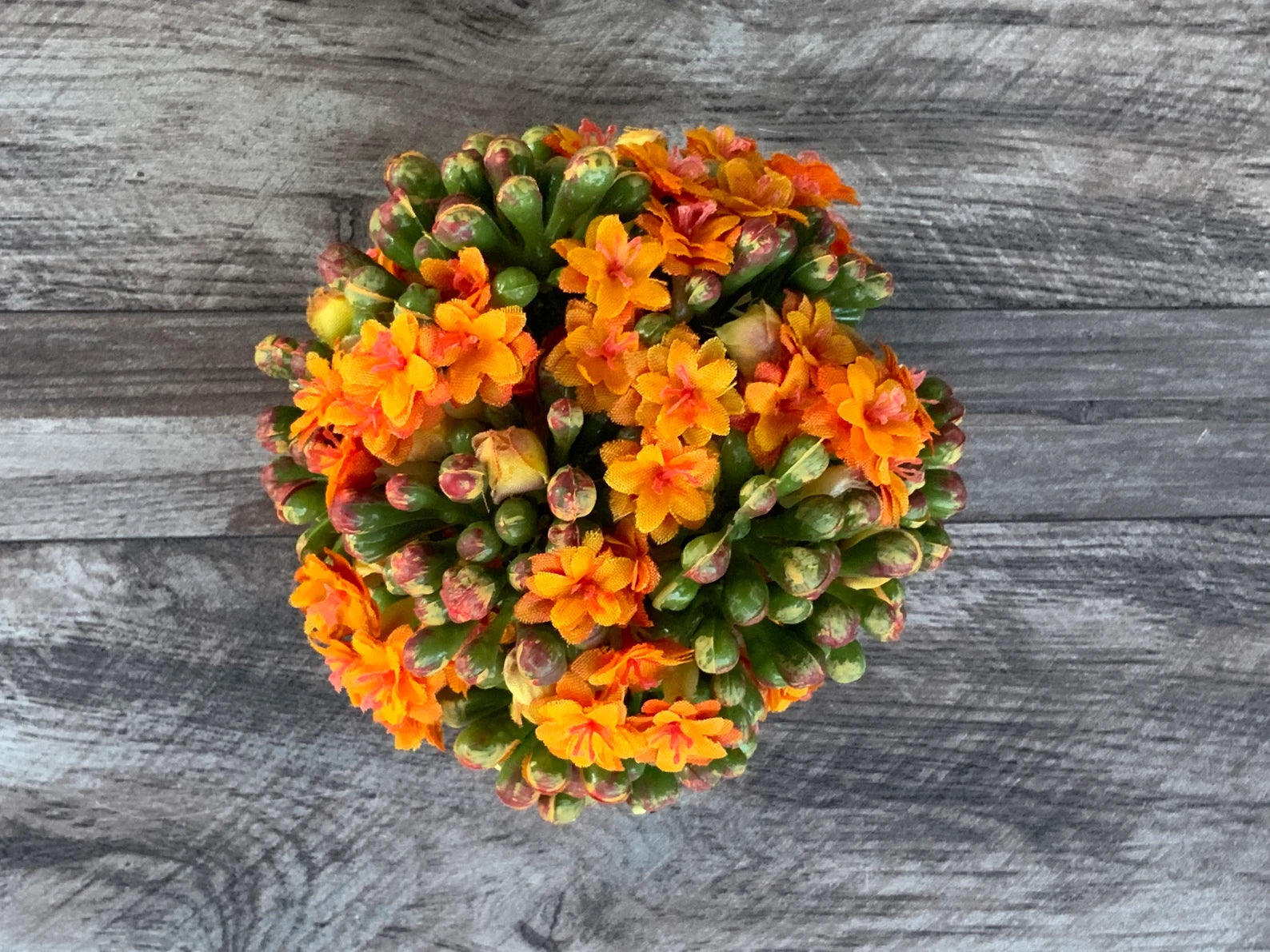 Floral Kalanchoe Ball - Orange