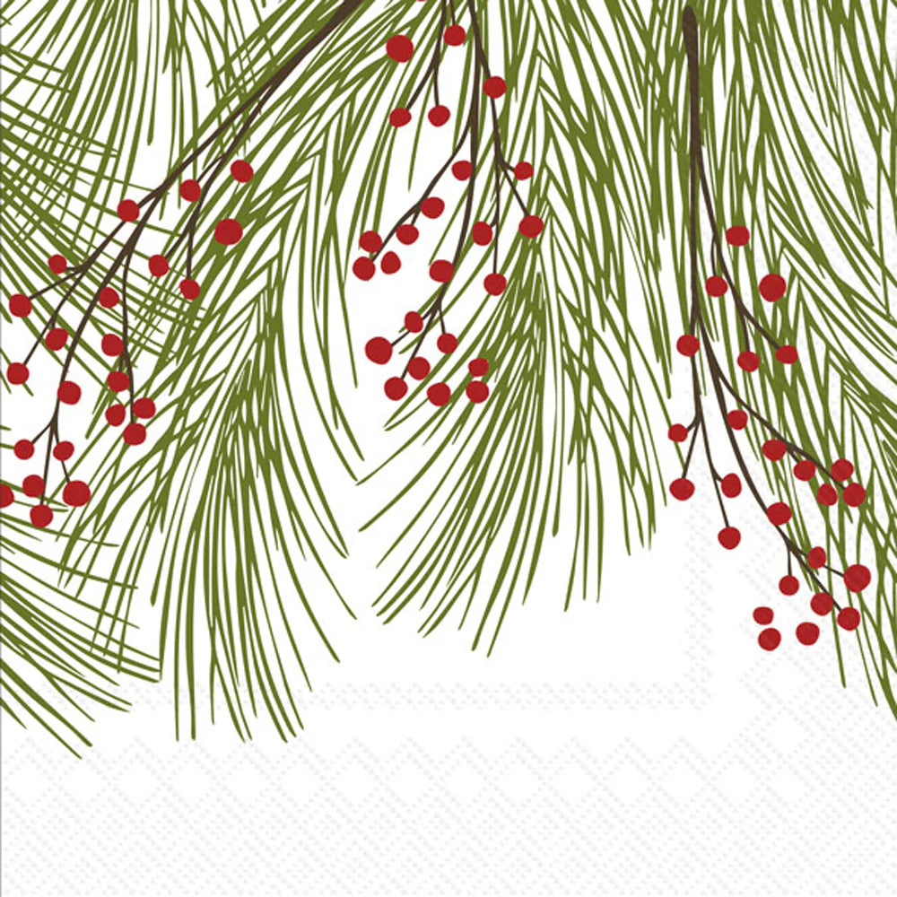IMG-5612.webp