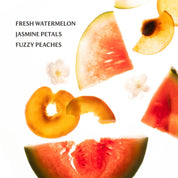 Touchland Hydrating Hand Sanitizer Power Mist / Wild Watermelon