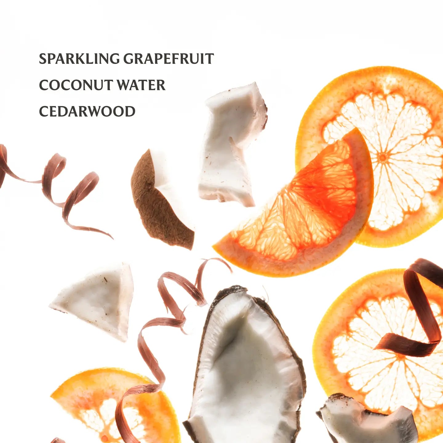 Touchland Hydrating Hand Sanitizer Power Mist / Beach Coco