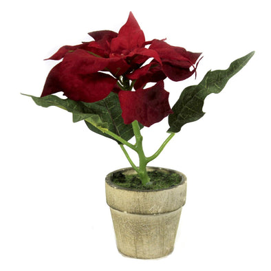 Potted Red Poinsettia Holiday Flower