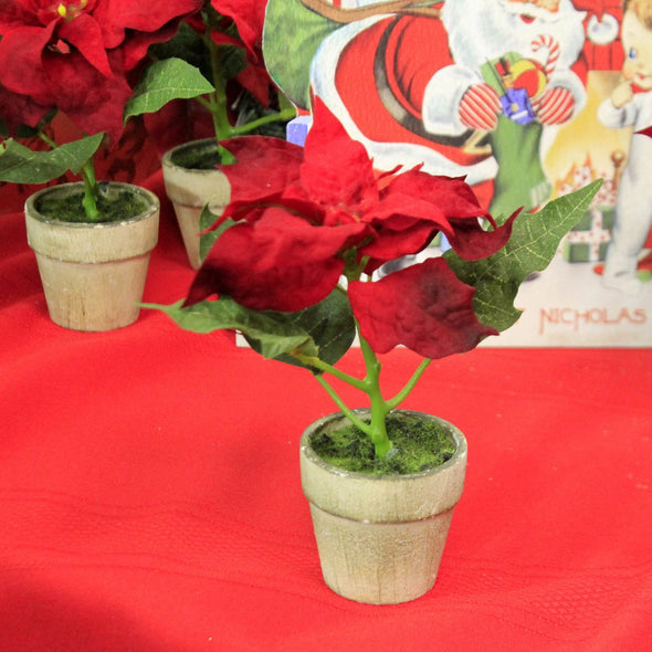 Potted Red Poinsettia Holiday Flower