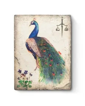 Sid Dickens- Peacock