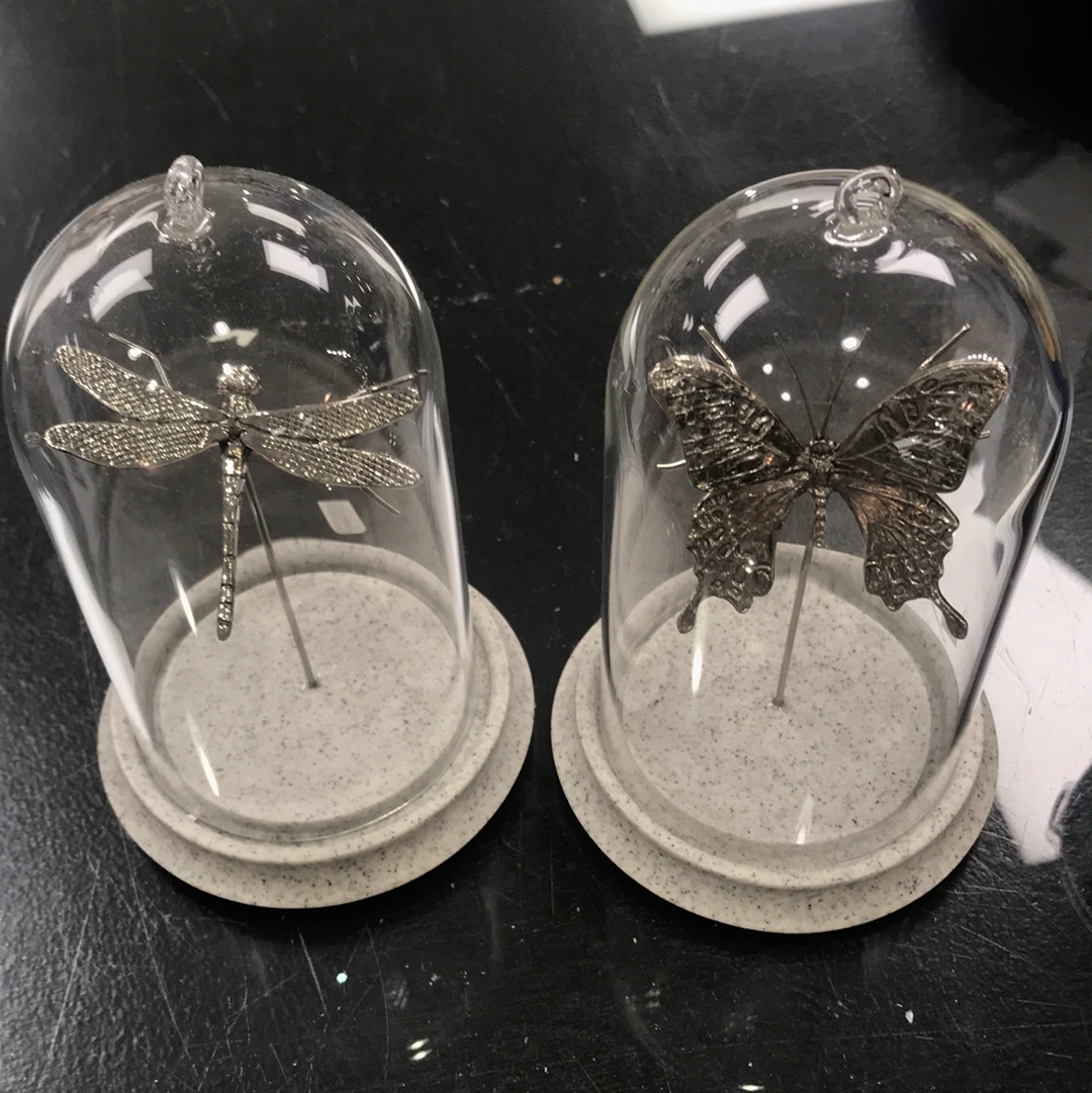 image_04976afa-0f49-4950-89b0-c482533f2bc4.png