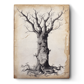 Sid Dickens-Medieval Tree of Life