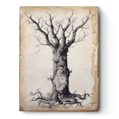Sid Dickens-Medieval Tree of Life