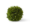 Boxwood Ball- 7"