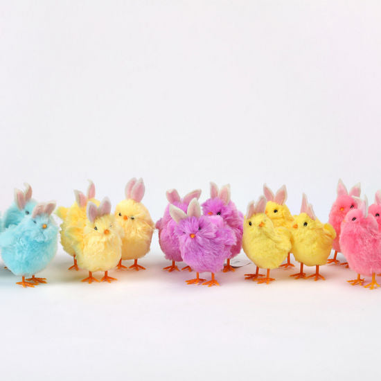 Feathered Bunny Chicks
