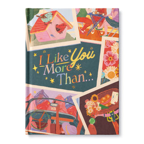 I Like You More Than… Book