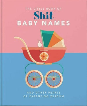 The Little Book Of S*** Baby Names Book