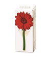 Wall Flowers Vase in Gift Box