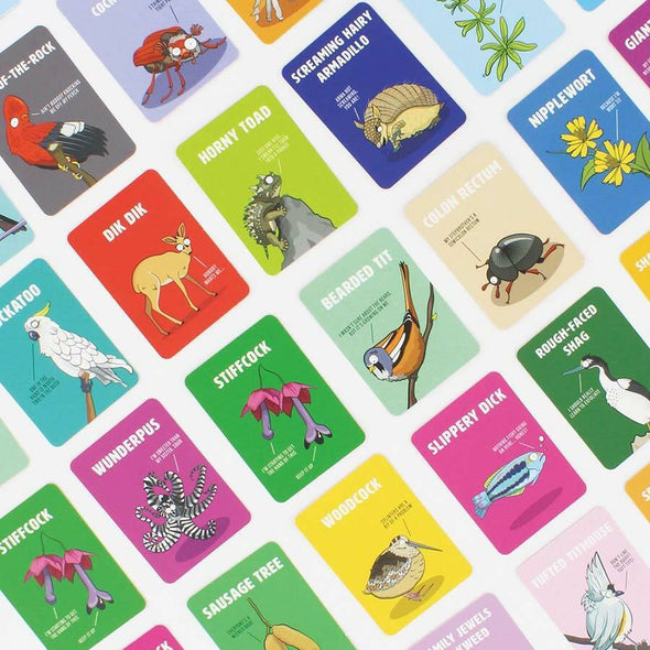 Card Game Don’t Be A Dik Dik
