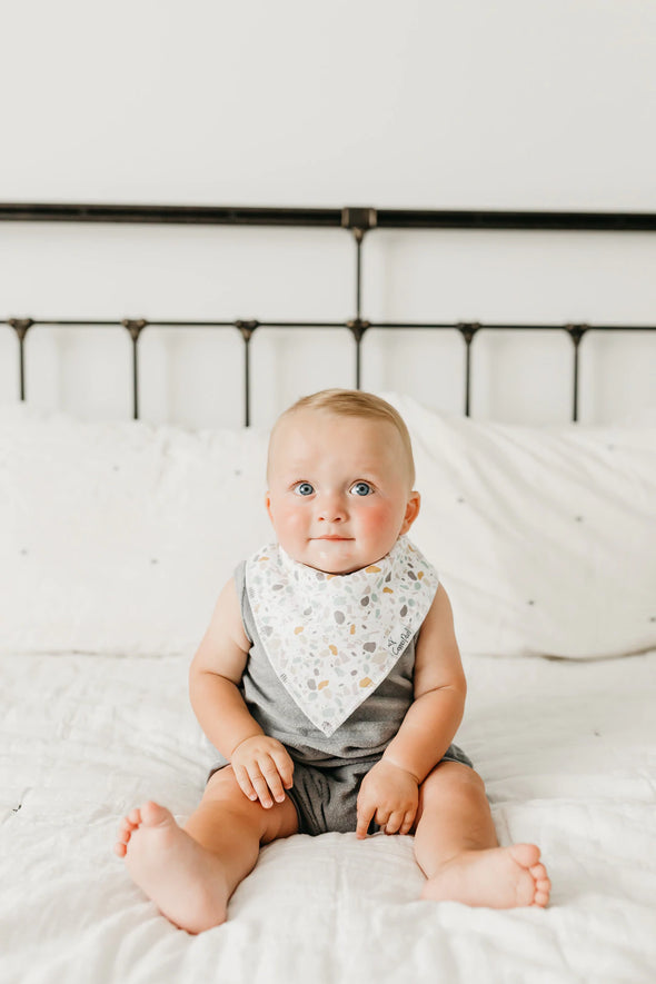 Bandana Bib Set of 4- Rex